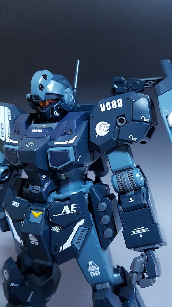 Delpi-Decal MG Jesta Holo
