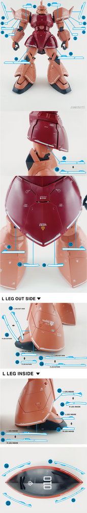 Delpi-Decal MG Gelgoog Custom