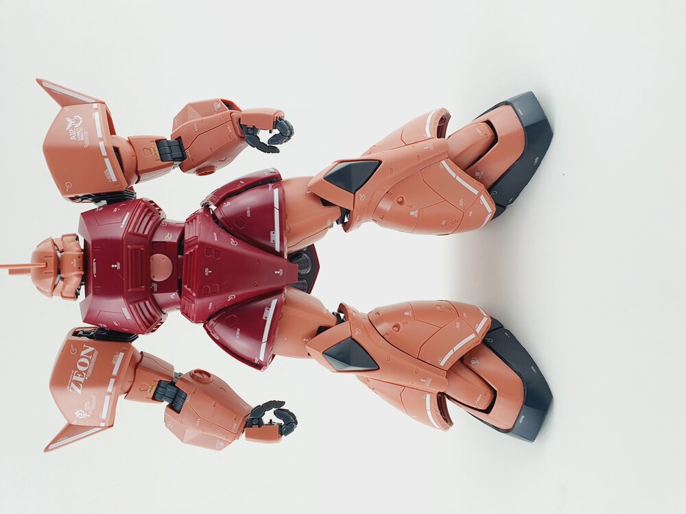 Delpi-Decal MG Gelgoog Custom