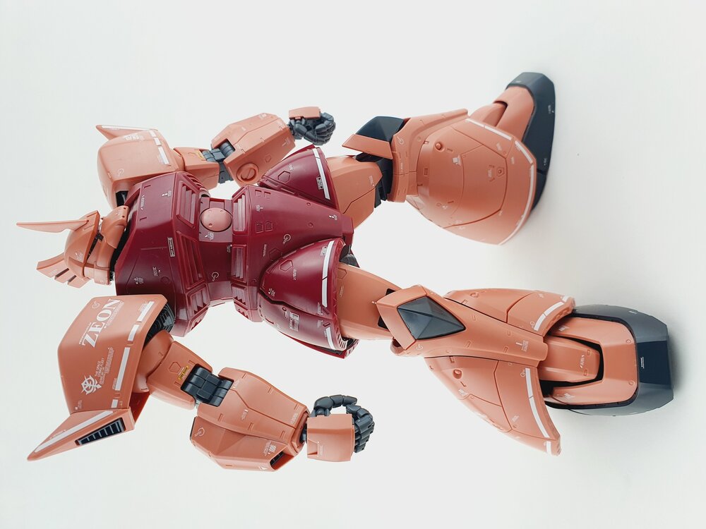 Delpi-Decal MG Gelgoog Custom