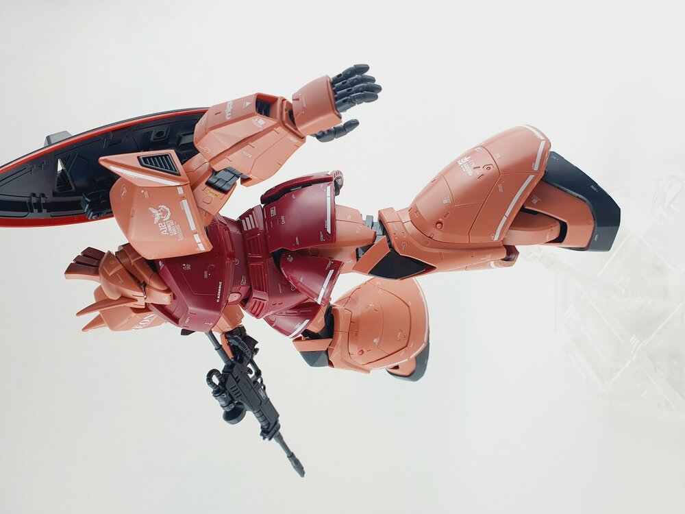 Delpi-Decal MG Gelgoog Custom