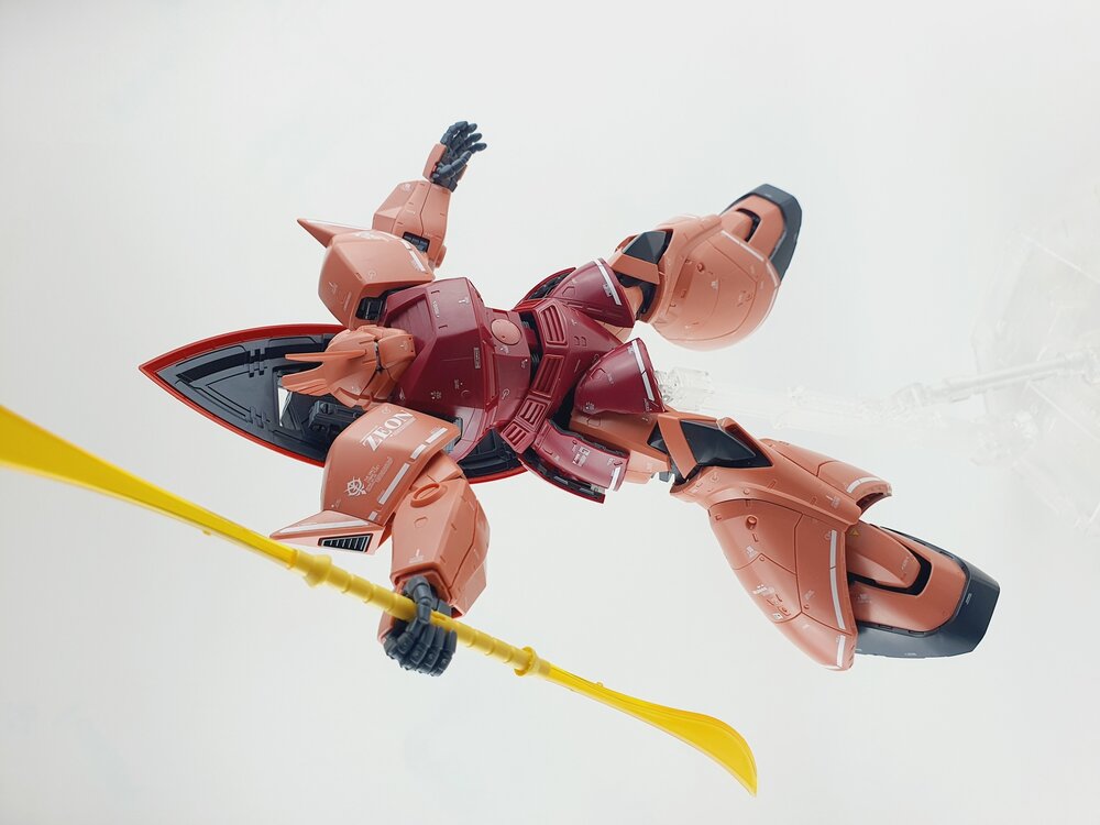 Delpi-Decal MG Gelgoog Custom