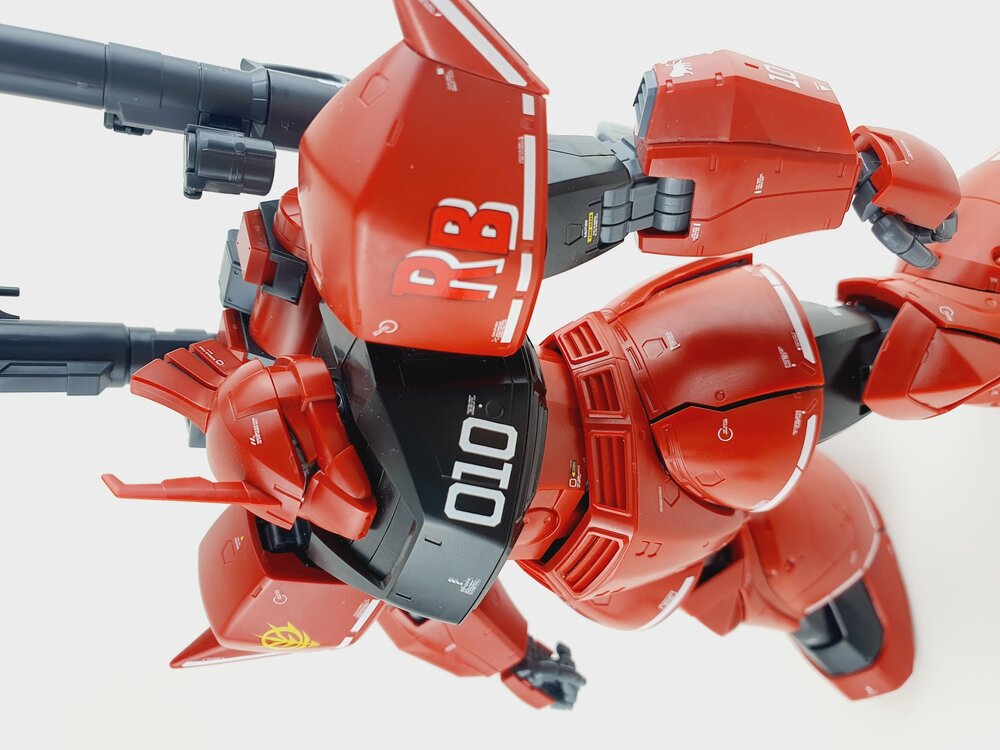 Delpi-Decal MG Gelgoog Custom