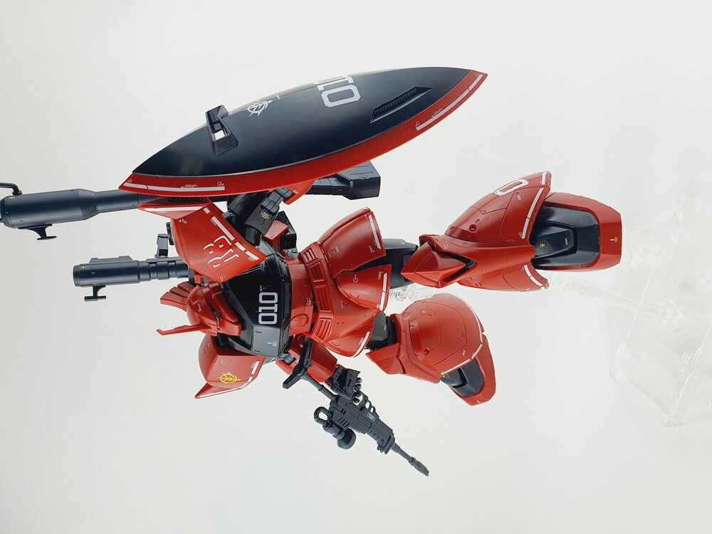 Delpi-Decal MG Gelgoog Custom
