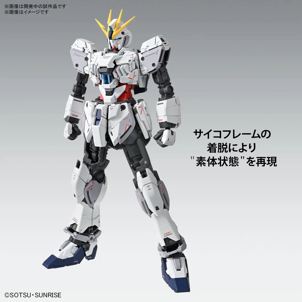 1/100 MG RX-9/C Narrative Gundam C-Packs Ver. Ka