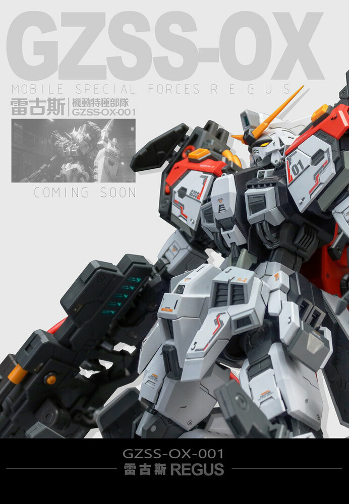 ZZA Model 1/100 GZSS-OX-001 REGUS