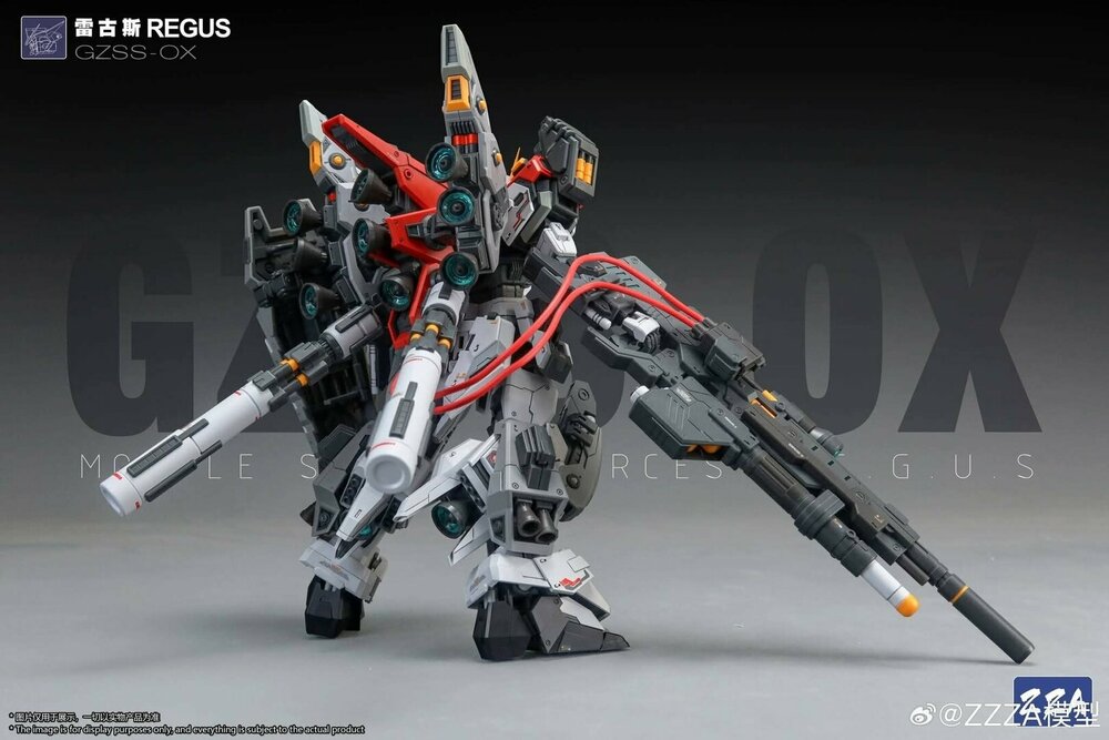 ZZA Model 1/100 GZSS-OX-001 REGUS