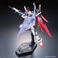 1/144 RG ZGMF-X42S Destiny