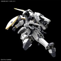 1/144 RG 0Z-00MS Tall Geese EW