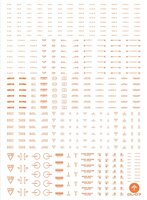 Anchoret YJL General Decal DL-07 Orange Limited