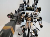 Delpi-Decal MG Psycho Zaku Gold Holo