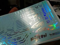 Delpi-Decal RG Sazabi Silver Holo