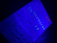 Flaming-Snow HG-34 XI RX-105 Fluorescent