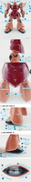Delpi-Decal MG Gelgoog Custom