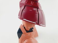 Delpi-Decal MG Gelgoog Custom