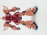 Delpi-Decal MG Gelgoog Custom