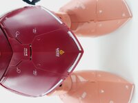 Delpi-Decal MG Gelgoog Custom