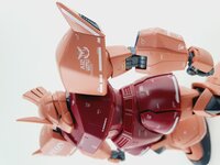 Delpi-Decal MG Gelgoog Custom