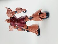 Delpi-Decal MG Gelgoog Custom
