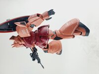 Delpi-Decal MG Gelgoog Custom