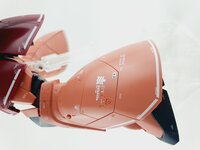 Delpi-Decal MG Gelgoog Custom