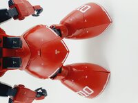 Delpi-Decal MG Gelgoog Custom