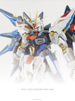 Delpi-Decal MGEX Strike Freedom Silver Holo