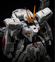 Supreme Evolution 1/100 MG Eternal Star Glory Revised Ver.