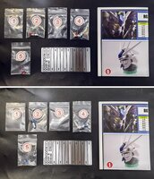 HD Model RG RX-93-v2 Hi-Nu Gundam Metal Set 2 Color Options