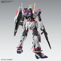 1/100 MG RX-9/C Narrative Gundam C-Packs Ver. Ka