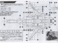 Delpi-Decal HG Macross Plus YF-19