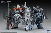 ZZA Model 1/100 GZSS-OX-001 REGUS