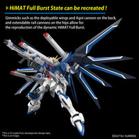 1/144 HG STTS-909 Rising Freedom Gundam HG243