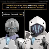 30MF Rosan Assassin #11