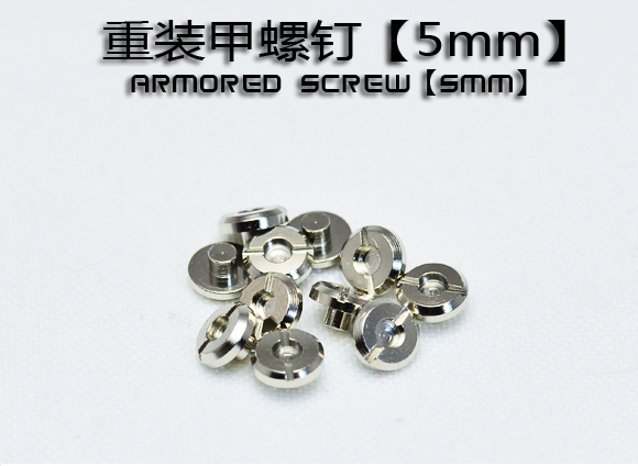Metal Armor Screws