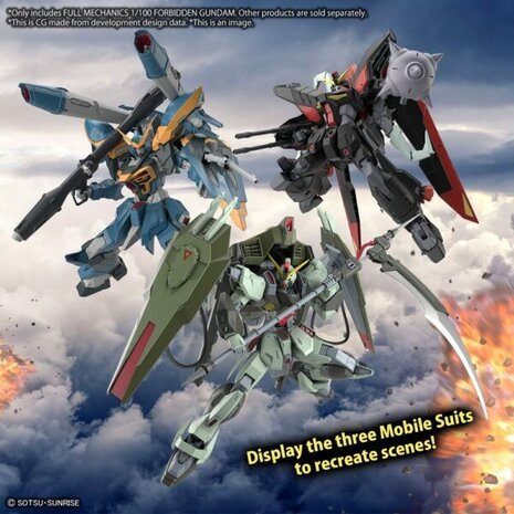 1/100 FM GAT-X252 Forbidden Gundam