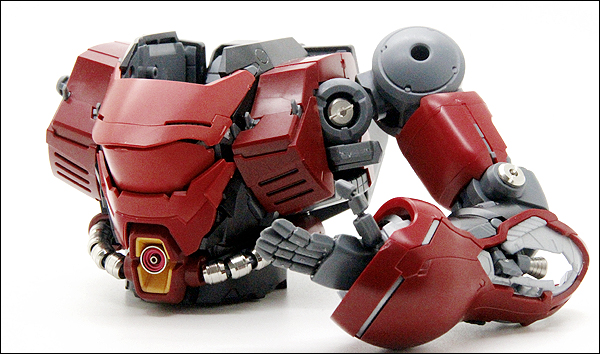 MG MSN-04 SAZABI Ver.Ka 2個セット China Special MG 1/100 MSN-04 Sazabi Ver. Ka [Collection Ver